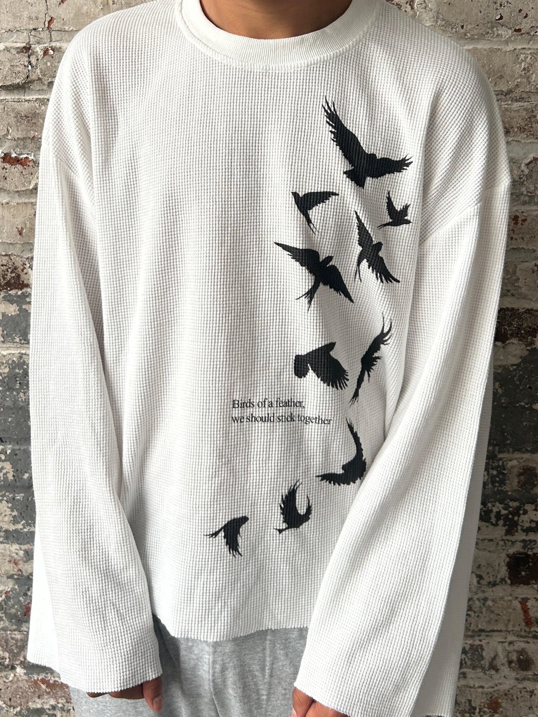 “Birds” Thermal Bundle